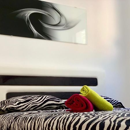 Absolute Apartman コトル エクステリア 写真